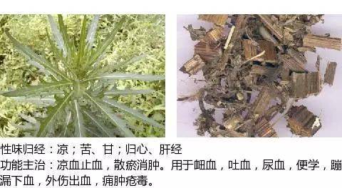 止血药