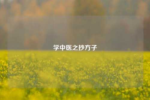 学中医之抄方子