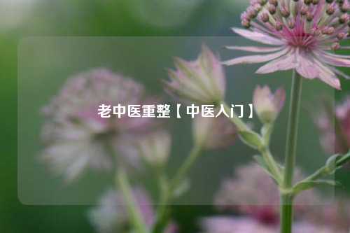 老中医重整【中医入门】