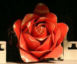 术利工作室艺术设计展示