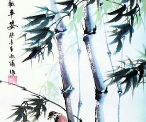 中式设计字画家中保养方法